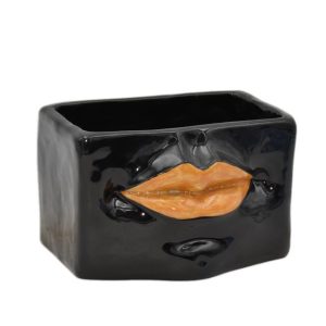 Scatola con espressione 14x10 black line labbra arancio