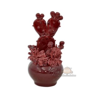 Pianta grassa grande h 18 bordeaux