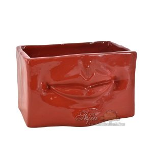 Scatola con espressione 21x13 rosso fuoco