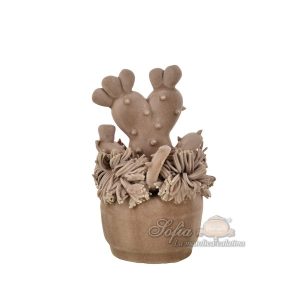 Pianta grassa piccola h 12 tortora opaco - Bomboniera