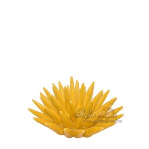 Riccio di mare 2°M Ø 15 senape