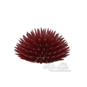 Riccio di mare 4°M Ø bordeaux