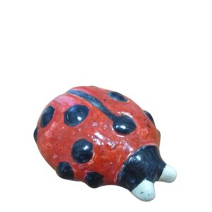 Coccinella 5x4