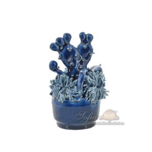 Pianta grassa piccola h 12 blu intenso - Bomboniera