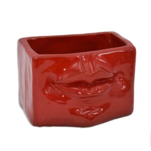 Scatola con espressione 14x10 rosso fuoco - Bomboniera